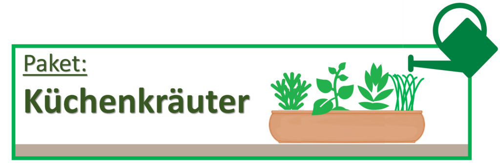 Buero Pflanzen Pflege Berlin, Glückliche Pflanzen – zufriedene Kollegen! Kompetenter und zuverlässiger Pflanzen-Service: Gießen, Düngen, Beratung bei Neuanschaffung, Bürokräuter, blühende Topfpflanzen für den Tresen oder Geburtstage, Büropflanzen, Pflanzenpflege, fachgerechte Pflege-Service von Pflanzanlagen, Nachhaltig, Gießen, Schneiden, Ausputzen, Nährstoffversorgung, Düngen, Giessservice, Gießservice