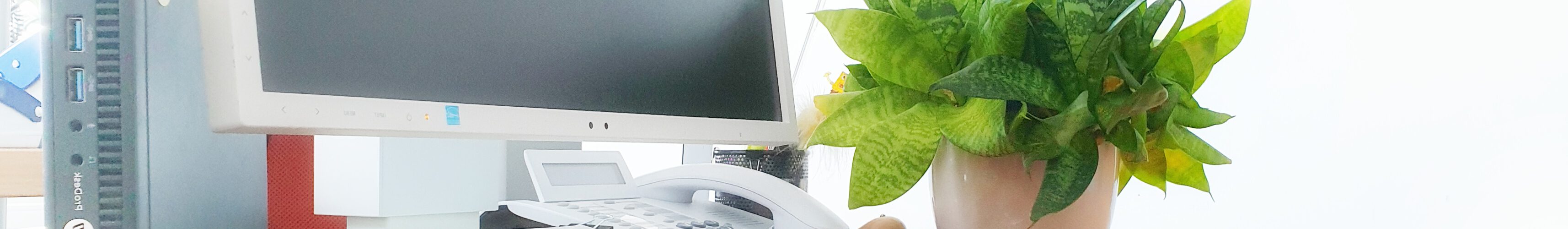 Buero Pflanzen Pflege Berlin, Glückliche Pflanzen – zufriedene Kollegen! Kompetenter und zuverlässiger Pflanzen-Service: Gießen, Düngen, Beratung bei Neuanschaffung, Bürokräuter, blühende Topfpflanzen für den Tresen oder Geburtstage, Büropflanzen, Pflanzenpflege, fachgerechte Pflege-Service von Pflanzanlagen, Nachhaltig, Gießen, Schneiden, Ausputzen, Nährstoffversorgung, Düngen, Giessservice, Gießservice