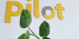 1 Bueropflanzen Pflege Berlin, Glückliche Pflanzen – Zufriedene Kollegen! Kompetenter Und Zuverlässiger Pflanzenservice Pflanzenpflege Grünes Büro