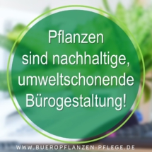 Bueropflanzen Pflege Berlin, Glückliche Pflanzen – zufriedene Kollegen! Kompetenter und zuverlässiger Pflanzenservice Pflanzenpflege grünes Büro Folie18 Bueropflanzen Pflege Berlin, Glückliche Pflanzen – zufriedene Kollegen! Kompetenter und zuverlässiger Pflanzenservice Pflanzenpflege grünes Büro Folie18