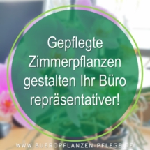 Bueropflanzen Pflege Berlin, Glückliche Pflanzen – zufriedene Kollegen! Kompetenter und zuverlässiger Pflanzenservice Pflanzenpflege grünes Büro Folie19 Bueropflanzen Pflege Berlin, Glückliche Pflanzen – zufriedene Kollegen! Kompetenter und zuverlässiger Pflanzenservice Pflanzenpflege grünes Büro Folie19