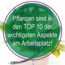 Bueropflanzen Pflege Berlin, Glückliche Pflanzen – zufriedene Kollegen! Kompetenter und zuverlässiger Pflanzenservice Pflanzenpflege grünes Büro Folie21 Bueropflanzen Pflege Berlin, Glückliche Pflanzen – zufriedene Kollegen! Kompetenter und zuverlässiger Pflanzenservice Pflanzenpflege grünes Büro Folie21