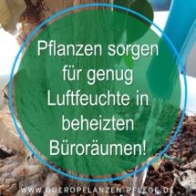 Bueropflanzen Pflege Berlin, Glückliche Pflanzen – zufriedene Kollegen! Kompetenter und zuverlässiger Pflanzenservice Pflanzenpflege grünes Büro Folie25 Bueropflanzen Pflege Berlin, Glückliche Pflanzen – zufriedene Kollegen! Kompetenter und zuverlässiger Pflanzenservice Pflanzenpflege grünes Büro Folie25