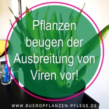 Buero Pflanzen Pflege Berlin, Glückliche Pflanzen – zufriedene Kollegen! Kompetenter und zuverlässiger Pflanzen-Service Gießen, Düngen, Beratung bei Neuanschaffung, Bürokräuter Buero Pflanzen Pflege Berlin, Glückliche Pflanzen – zufriedene Kollegen! Kompetenter und zuverlässiger Pflanzen-Service Gießen, Düngen, Beratung bei Neuanschaffung, Bürokräuter