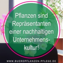 Bueropflanzen Pflege Berlin, Glückliche Pflanzen – zufriedene Kollegen! Kompetenter und zuverlässiger Pflanzenservice Pflanzenpflege grünes Büro Folie28 Bueropflanzen Pflege Berlin, Glückliche Pflanzen – zufriedene Kollegen! Kompetenter und zuverlässiger Pflanzenservice Pflanzenpflege grünes Büro Folie28