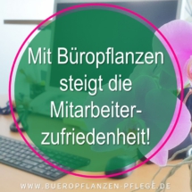 Bueropflanzen Pflege Berlin, Glückliche Pflanzen – zufriedene Kollegen! Kompetenter und zuverlässiger Pflanzenservice Pflanzenpflege grünes Büro Folie33 Bueropflanzen Pflege Berlin, Glückliche Pflanzen – zufriedene Kollegen! Kompetenter und zuverlässiger Pflanzenservice Pflanzenpflege grünes Büro Folie33