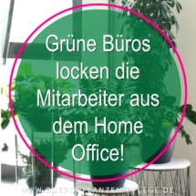 Bueropflanzen Pflege Berlin, Glückliche Pflanzen – zufriedene Kollegen! Kompetenter und zuverlässiger Pflanzenservice Pflanzenpflege grünes Büro Folie35 Bueropflanzen Pflege Berlin, Glückliche Pflanzen – zufriedene Kollegen! Kompetenter und zuverlässiger Pflanzenservice Pflanzenpflege grünes Büro Folie35