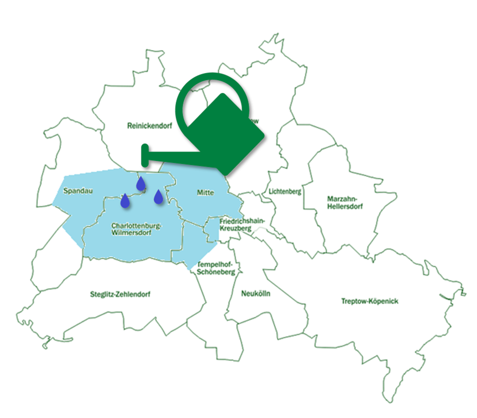 Pflanzenpflege Berlin, Pflanzenservice Berlin, Büropflanzen, regelmäßige Pflege für Pflanzen, Pflanzen Dienstleister Berlin, Büro Gärtner